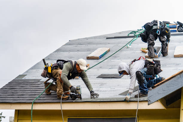 Professional Roof Replacement technician working in Dunlo, PA